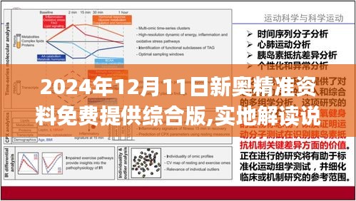2025全年资料免费大全功能-构建解答落实，精选解析、解释与落实