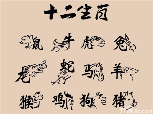 澳门天天彩期期精准十二生肖-构建解答落实，全面释义解释落实
