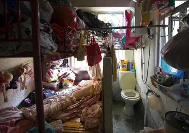 香港正版免费大全资料,全面释义解释-构建解答落实，实用释义解释落实