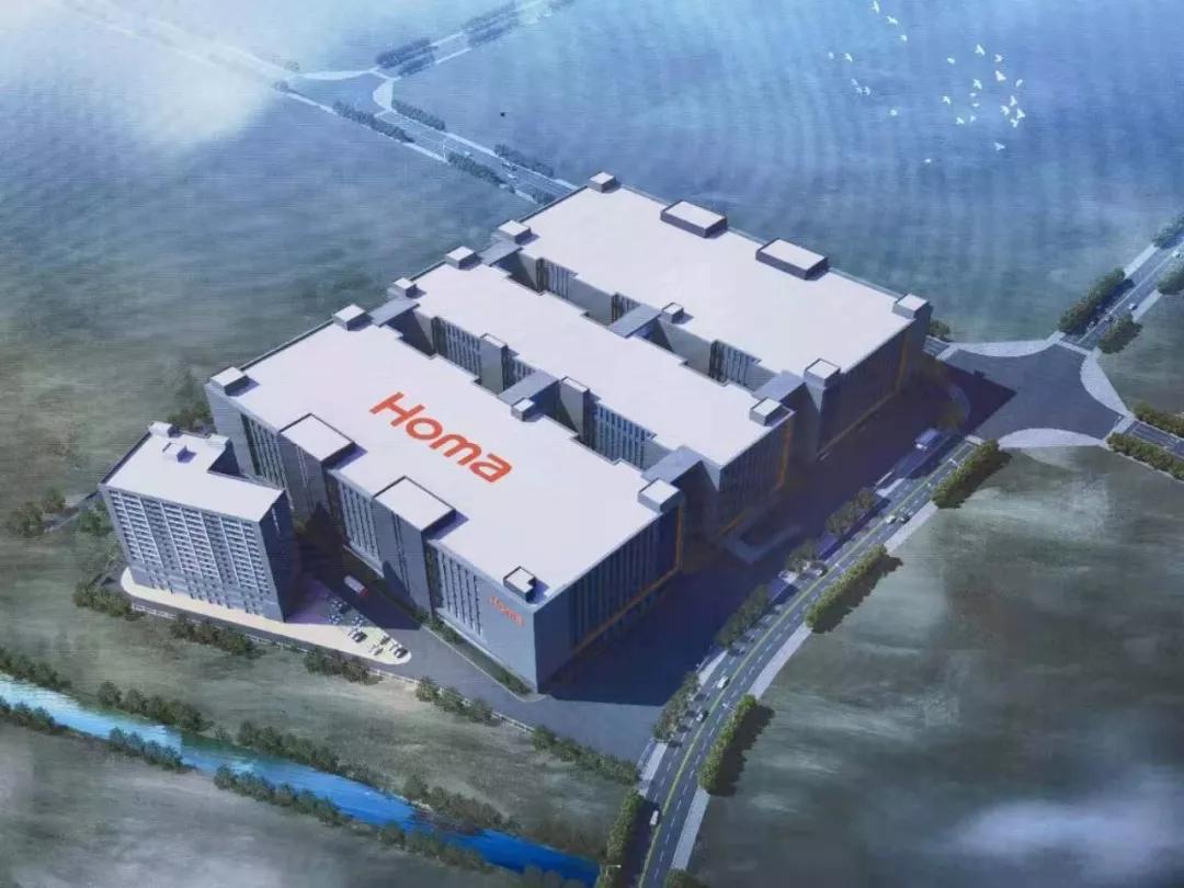 2024新奥马新免费资料|精选资料解析大全