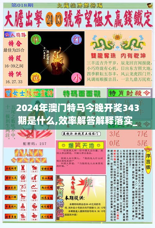 2024澳门特马今晚开|精选资料解析大全