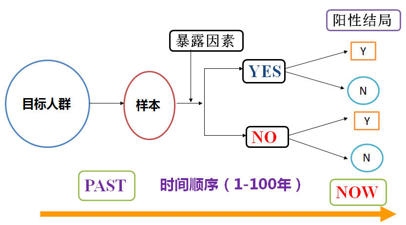 2024年新溪门天天开彩 |精选资料解析大全