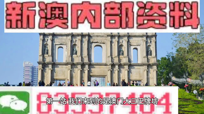 204年澳门免费精准资料|精选资料解析大全