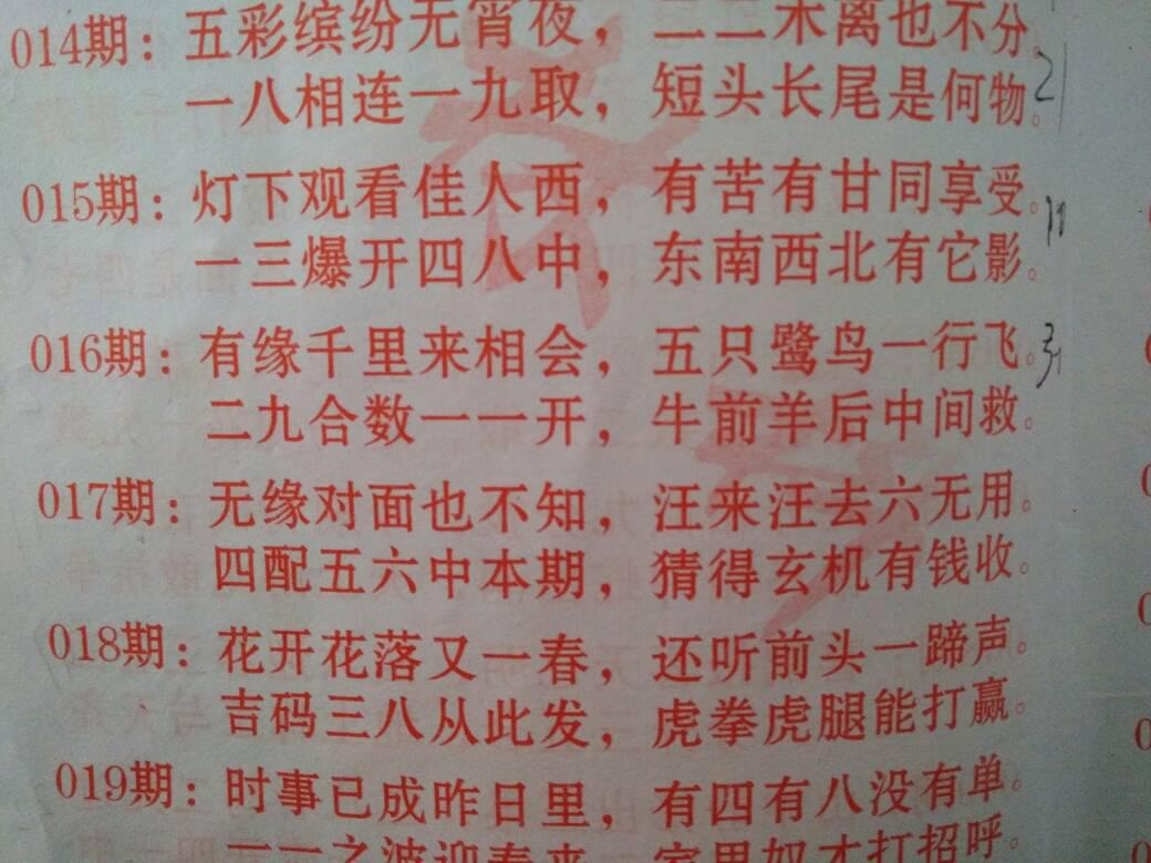 刘伯温白小姐两肖一码精准 |精选资料解析大全