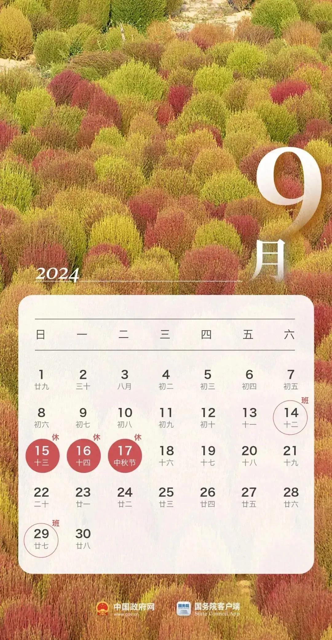 2024年全年资料免费大全优势|精选资料解析大全