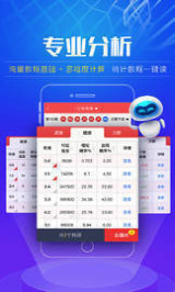 2024澳门天天开好彩大全app|精选资料解析大全