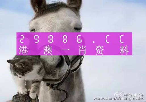 最准一肖一码一一子中特37b|精选资料解析大全