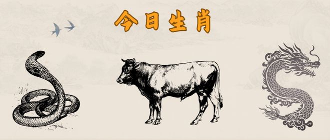 2024年正版四不像今晚|精选资料解析大全