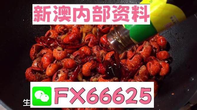 2024新澳精准资料 |精选资料解析大全