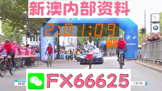 新澳2024年精准资料32期|精选资料解析大全