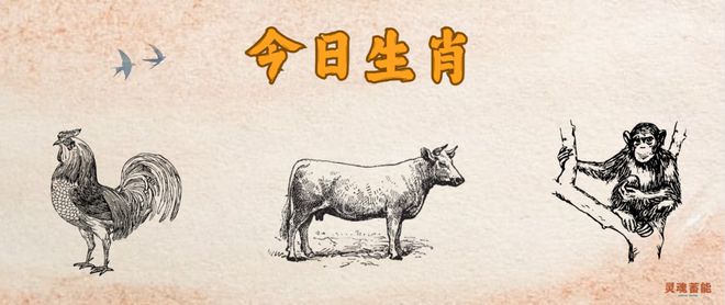 四不像正版资料2024年|精选资料解析大全