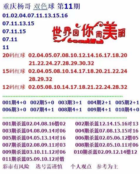 新澳天天彩正版免费资料观看|精选资料解析大全