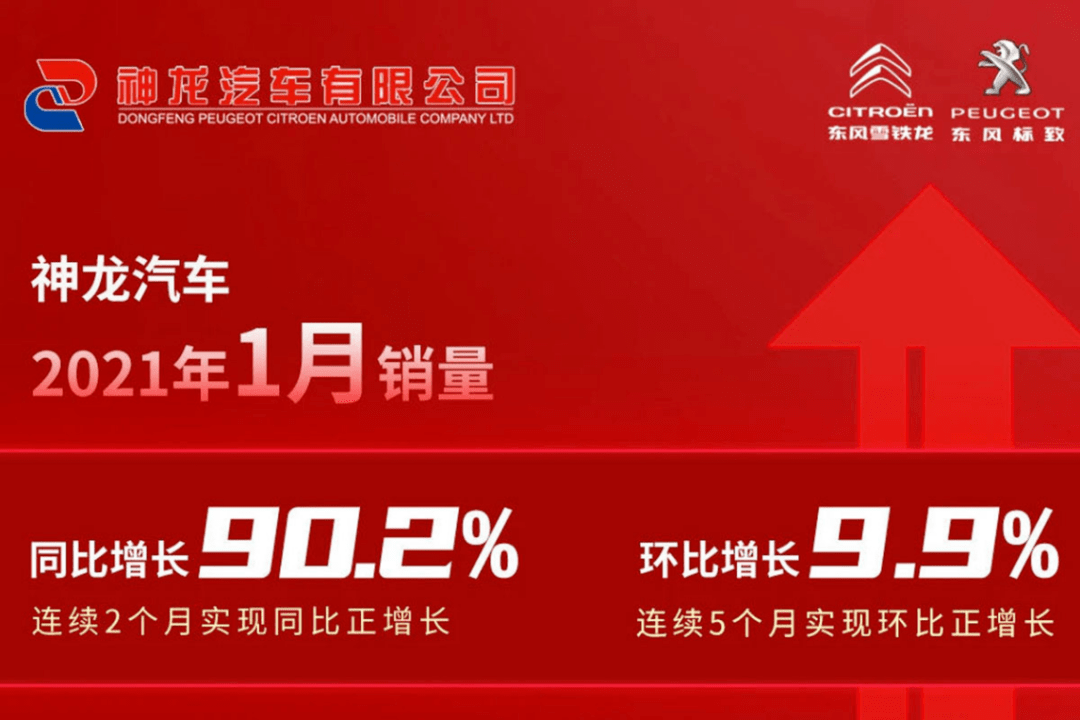 2024新奥资料免费公开|精选资料解析大全