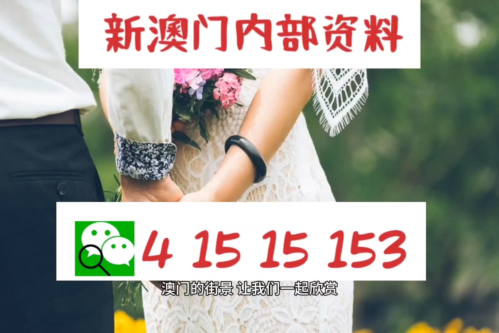 2024年澳门免费资料|精选资料解析大全