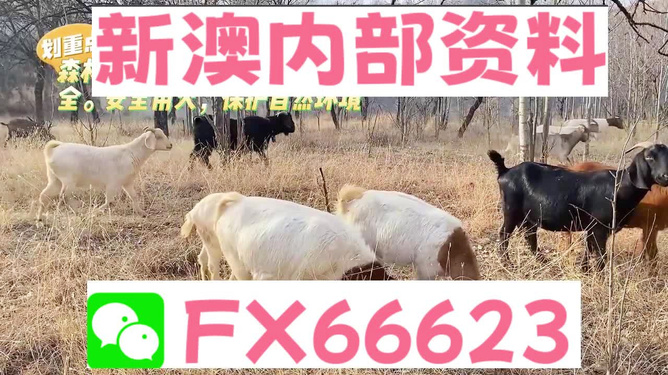 2024新版四不像图|精选资料解析大全