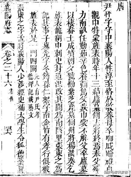 白小姐四肖选一肖中特期期准|精选资料解析大全