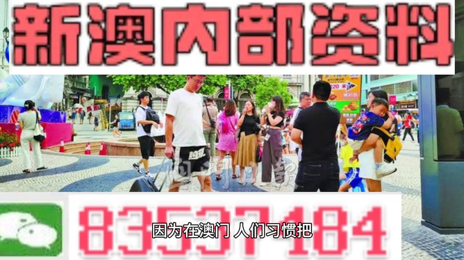 2024年新澳门今晚免费资料 |精选资料解析大全