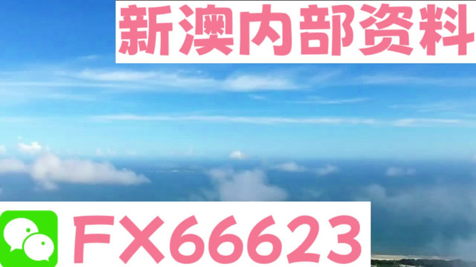 新澳2024年最新版资料|精选资料解析大全