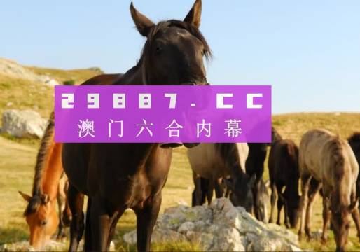 管家婆一肖一码100澳门 |精选资料解析大全