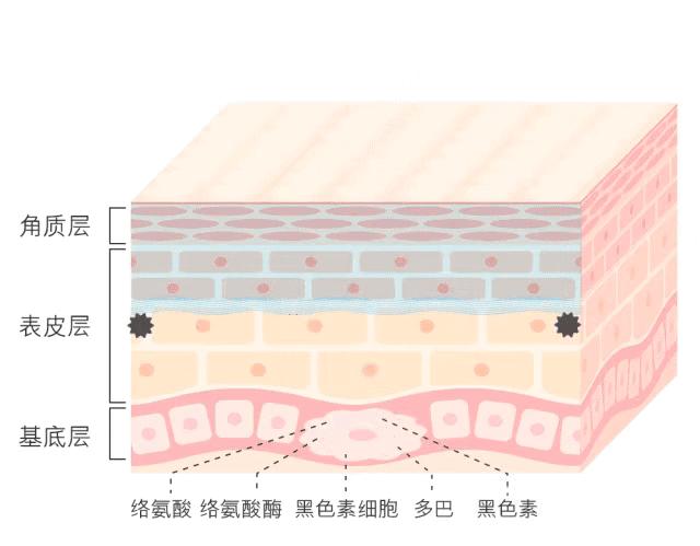 百科 第26页