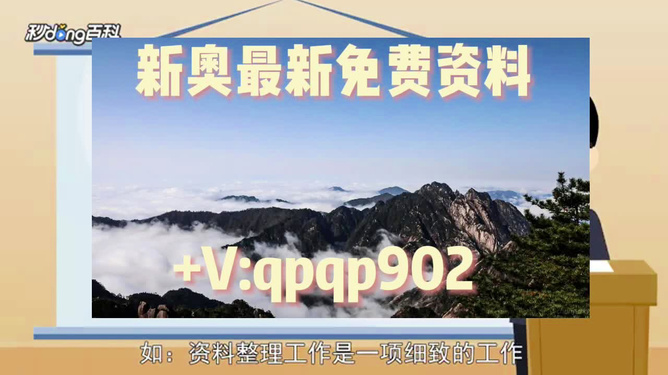 2024新奥全年资料免费大全 |精选资料解析大全