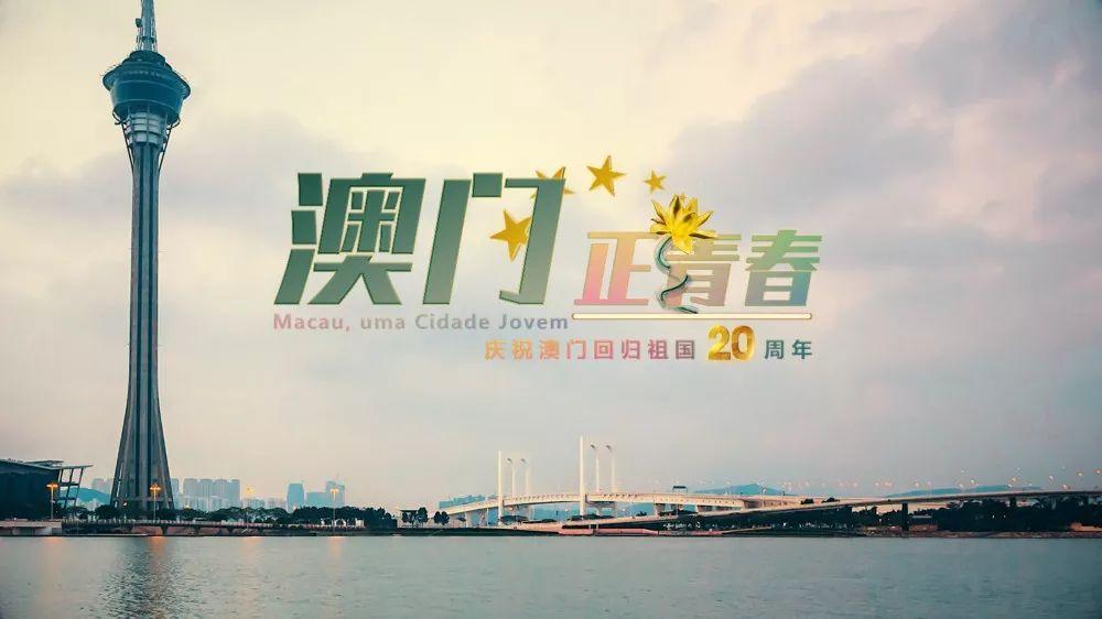 新奥门免费资料大全最新版本更新|精选资料解析大全